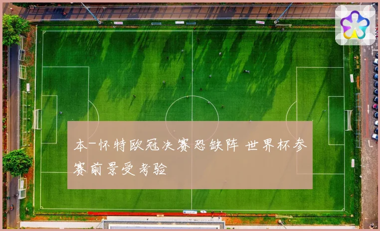 本-怀特欧冠决赛恐缺阵 世界杯参赛前景受考验
